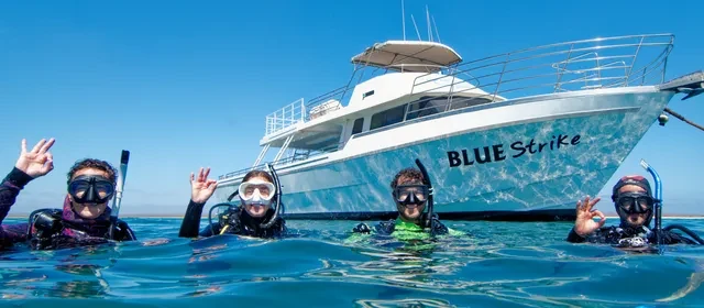 Búvárok a vízből jeleznek egy búvárhajó mellett – PADI Boat Diver